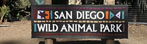 "Why San Diego Zoo?" I asked